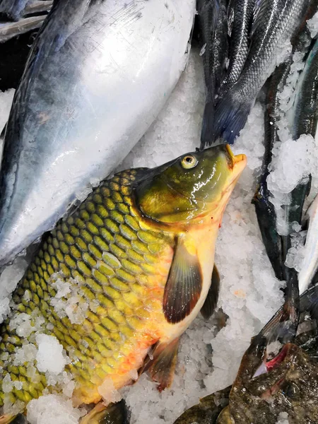 Velký Výběr Čerstvých Ryb Ležících Ledu Pultu Supermarketu Text Ruštině — Stock fotografie