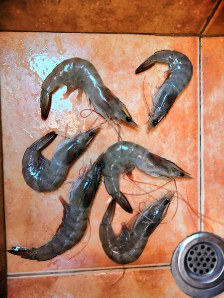 Raja Udang Mentah Jumbo Udang Harimau Hitam Mentah Atau Udang — Stok Foto