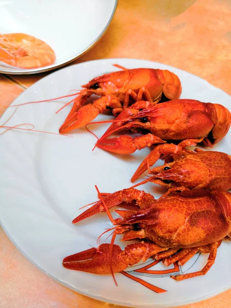 Cangrejos Río Cocidos Camarones Buena Selección Crustáceos Para Cena Langosta —  Fotos de Stock