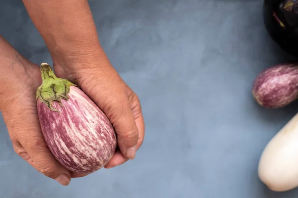 five oval eggplant white and violet in a womans hand. Mock up for concept a variety of healthy food