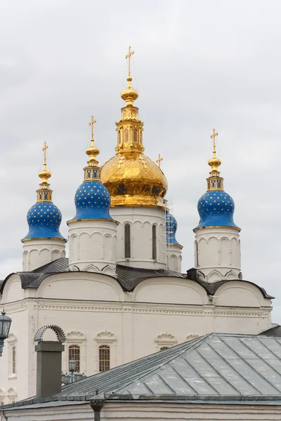 Domos dorados de la Catedral de Santa Sofía. Rusia, Tobolsk . —  Fotos de Stock