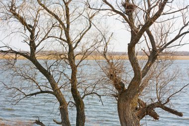 Rusya'da nehrinde bahar