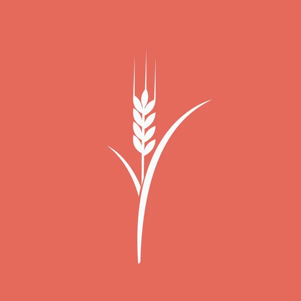 Wheat ear icon — Stock Vector