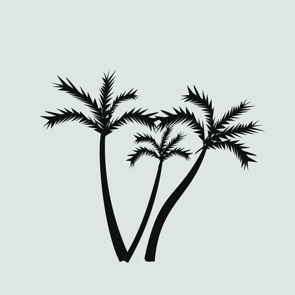 Palm trees icon — Stock Vector