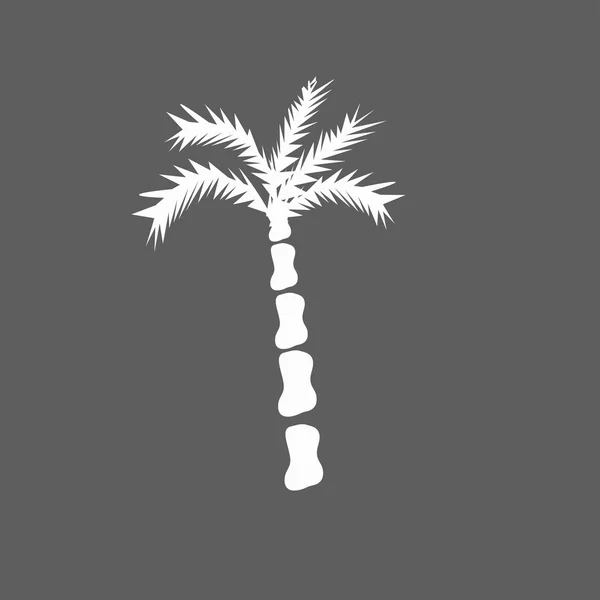 Icono de la palmera — Archivo Imágenes Vectoriales