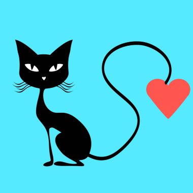 Sevgililer günü siyah kedi