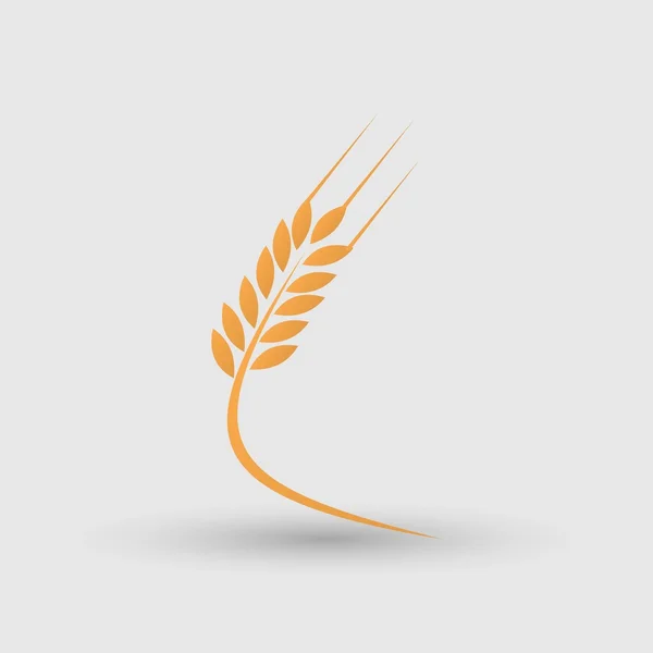 Wheat ear icon — Stock Vector