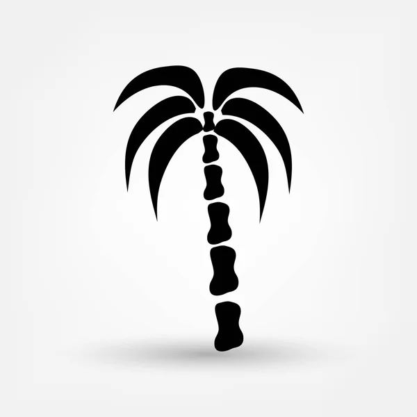 Palm tree icon — Stock Vector