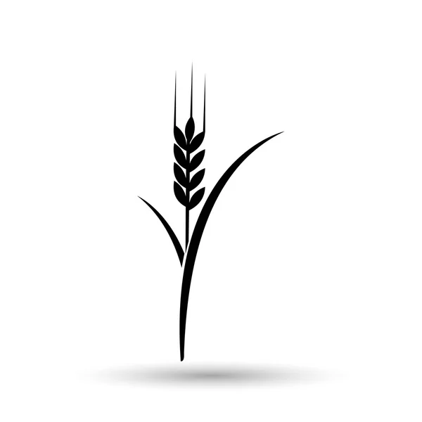 Ikona ucha pszenicy — Wektor stockowy