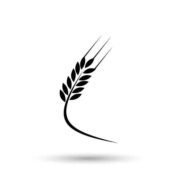 Ícone de orelha de trigo — Vetor de Stock