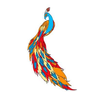 Peacock'ın kuyruk. Arka plan beyaz