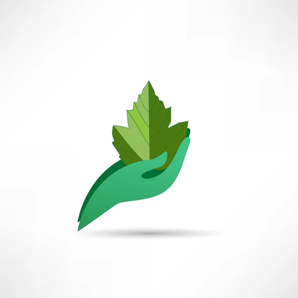 Manos y planta — Vector de stock