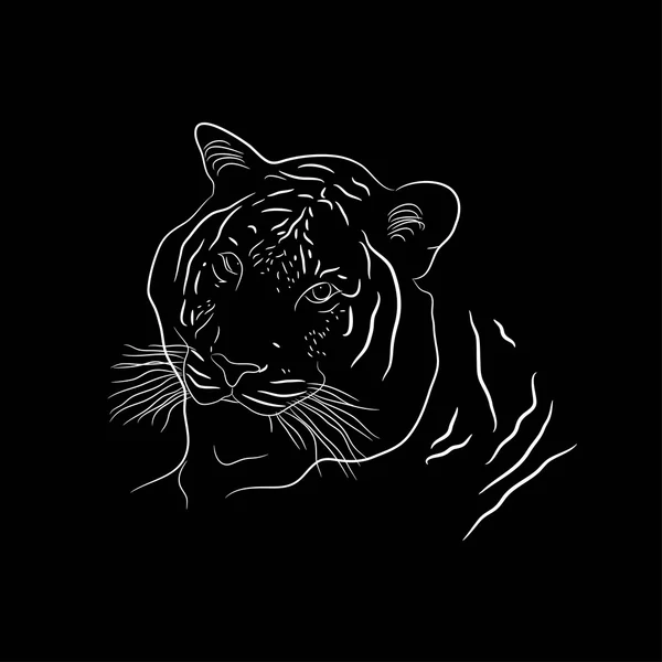 Silueta de tigre — Vector de stock