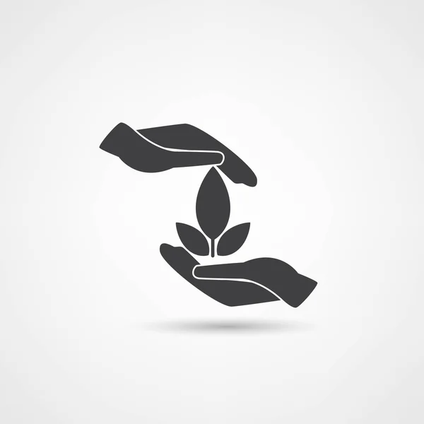 Handen en plant — Stockvector