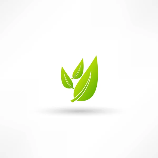 Green leaves, natural icon — Stock Vector