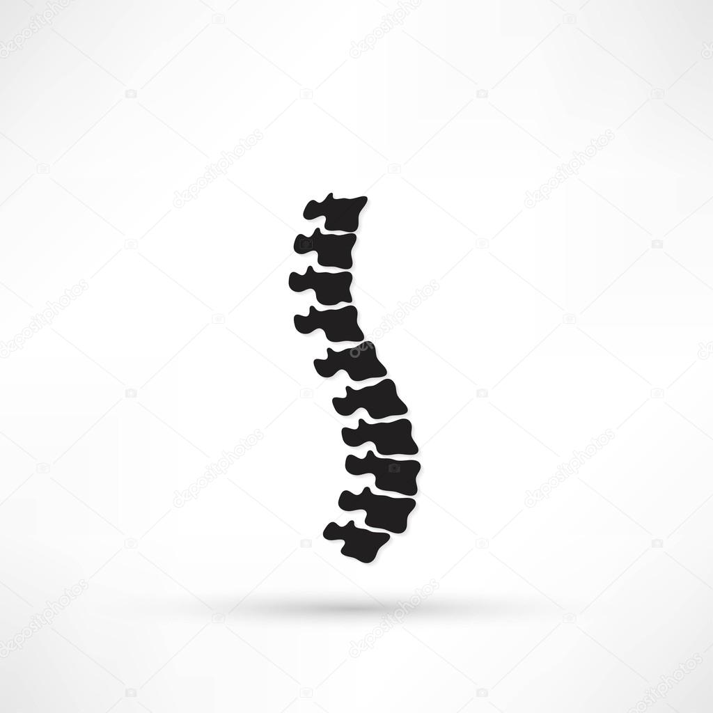 Spine diagnostics symbol design vector illustration