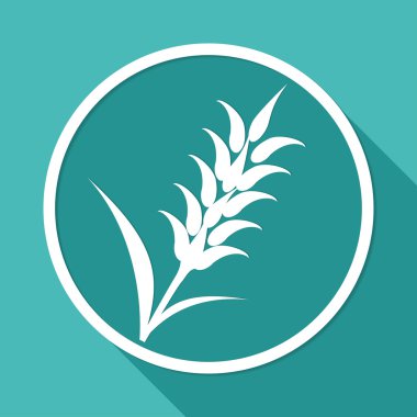 buğday kulağı simgesi