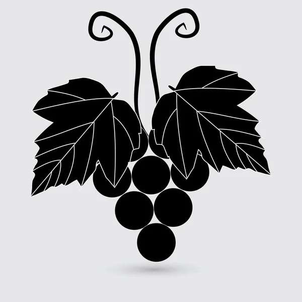 Vine icon, grapes — Stock Vector