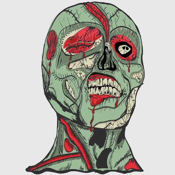 Zombie cabeza con cerebro — Vector de stock