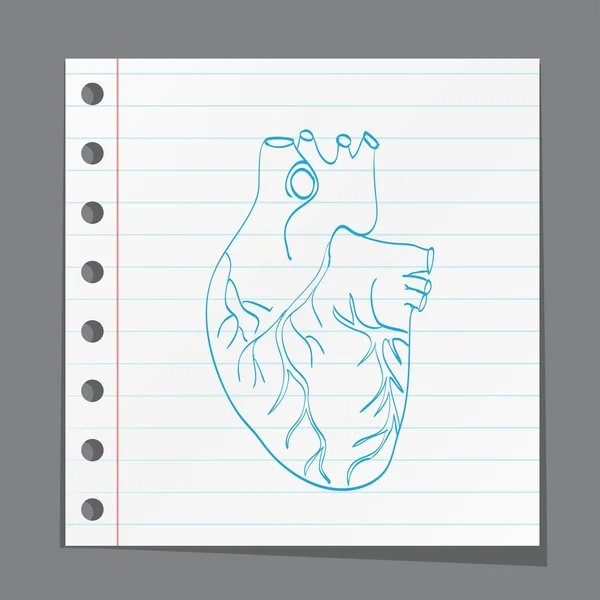 Icono de anatomía del corazón — Vector de stock