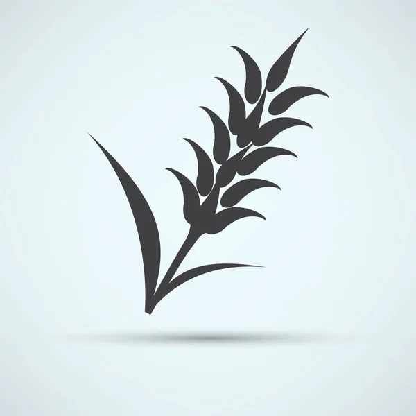 Telinga Wheat, ikon Barley - Stok Vektor