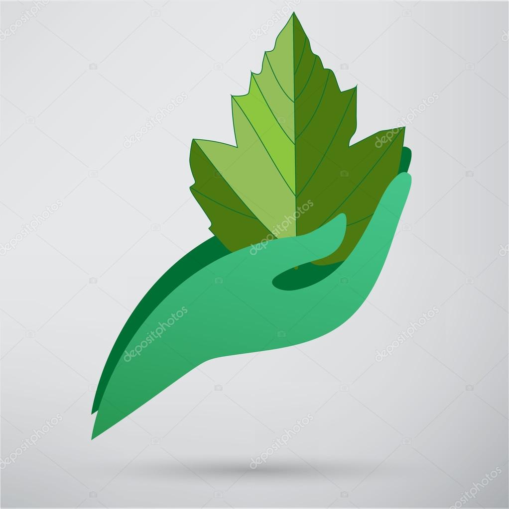 Hand and plant icon. eco concept.  vector illustration on white