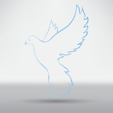 Dove of peace, bird symbol