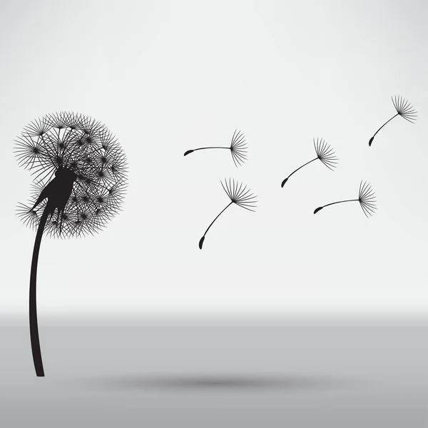 Blowing dandelion, floral concept — 图库矢量图片