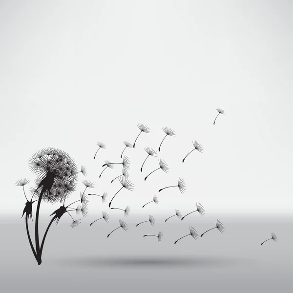 Blowing dandelion, floral concept — Stok Vektör