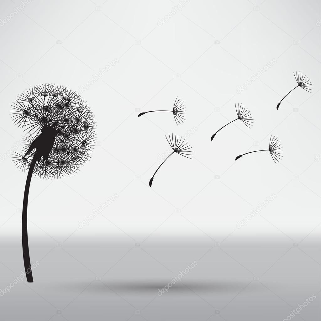 Blowing dandelion, floral concept Stock Vector by ©slasny1988 76158679