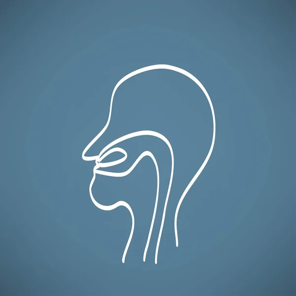 Lidský nos anatomie — Stockový vektor