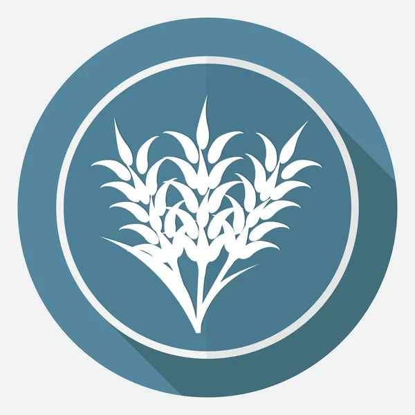 Ears of Wheat, Barley or Rye icon — Stock Vector