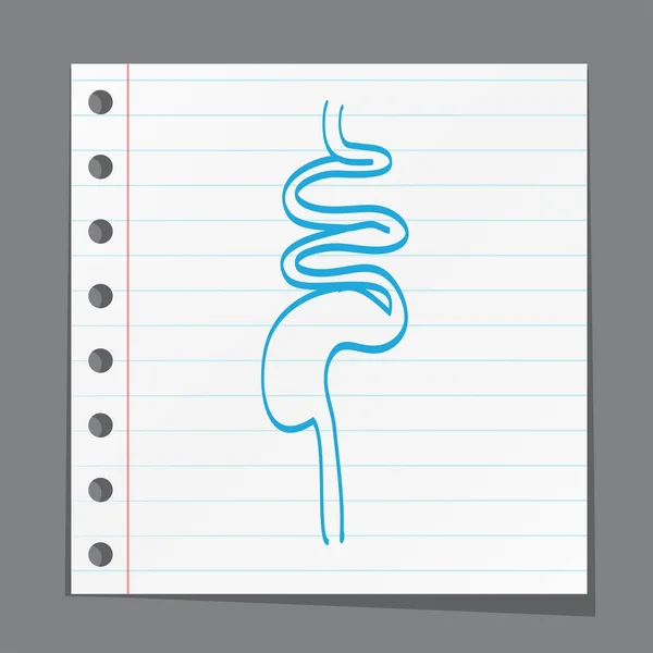 Illustration du système digestif — Image vectorielle