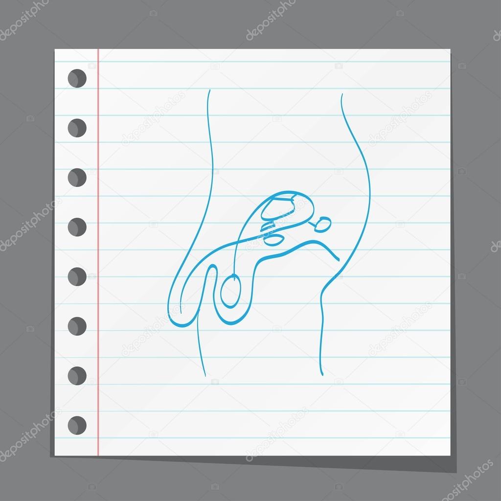 Male reproductive system sketch