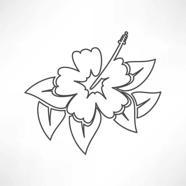 Fleur d'hibiscus, icône florale — Image vectorielle