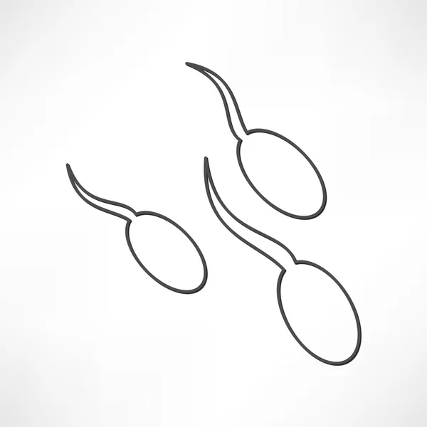 Spermie, početí ikonu — Stockový vektor