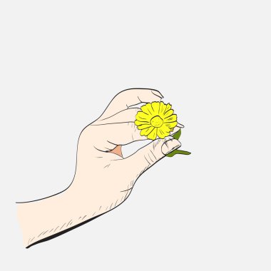 Papatya çiçeği ile el