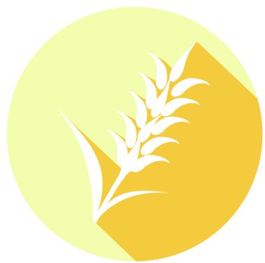 Buğday, arpa veya çavdar simgesi