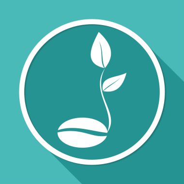 kahve çekirdeği fide simgesiyle