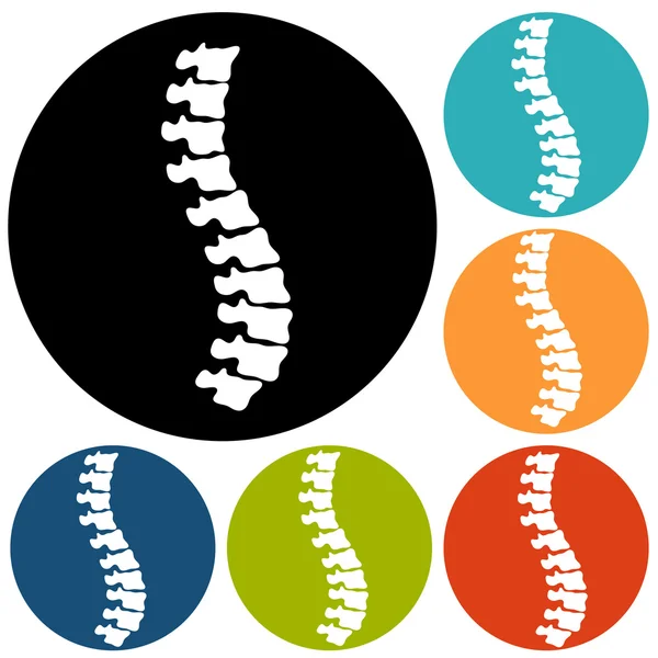 Juego de símbolos de diagnóstico de columna vertebral — Archivo Imágenes Vectoriales