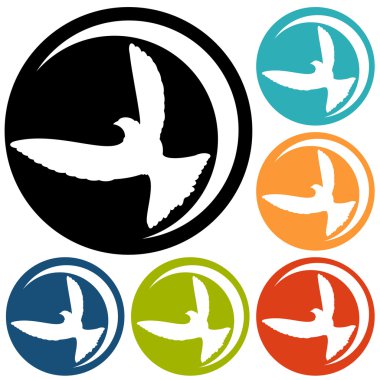 Güvercin, barış Icons set