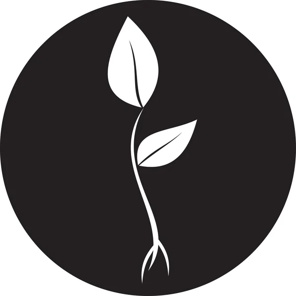 Icône de feuilles, germe, plante — Image vectorielle