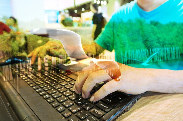 Double Exposure of Man with Laptop Computer and Seagull Bird at