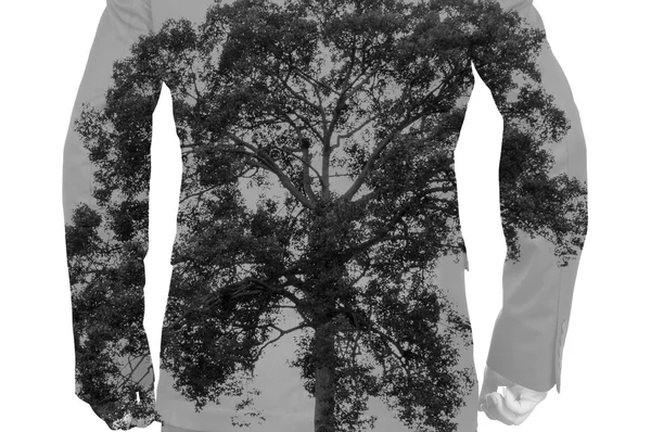 Διπλή έκθεση του επιχειρηματία με μεγάλο δέντρο ως ανθρώπινων οστών — Φωτογραφία Αρχείου