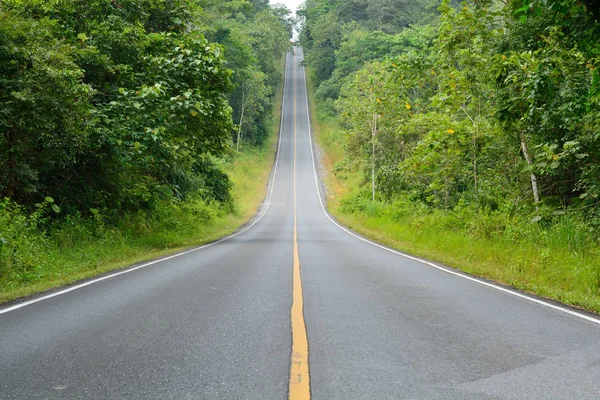 Camino en la montaña —  Fotos de Stock