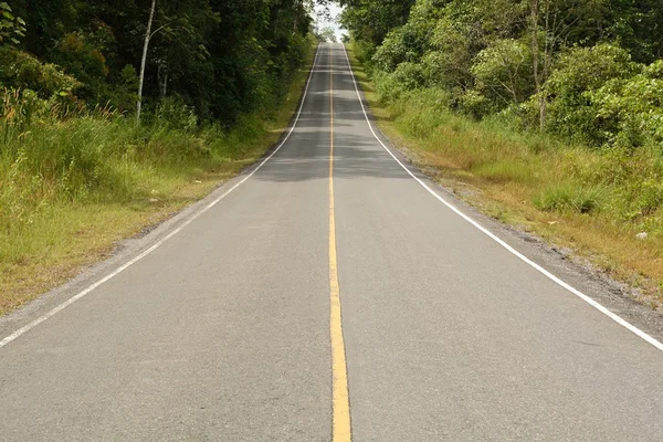 Camino en la montaña —  Fotos de Stock