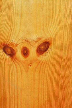 grunge ahşap dokusu arkaplanı