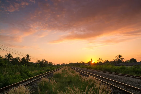 Железнодорожные пути в сельской местности с Ниццей Санрайз и травяным полем — стоковое фото
