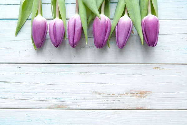 Tulipanes sobre fondo de madera — Foto de Stock