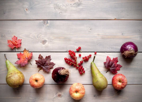 Outono ingredientes naturais — Fotografia de Stock